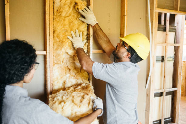 Best Garage Insulation Installation  in Lihue, HI